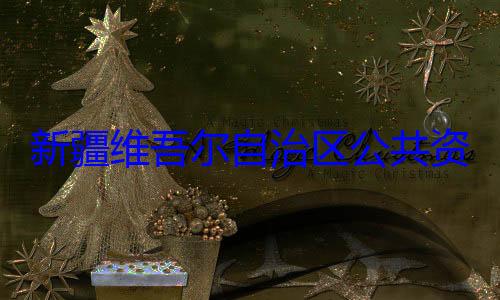 新疆维吾尔心副主任薛查调查自治区公共资源交易中建强接受审