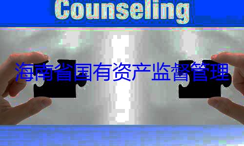 查调查委副书记王理委员会党资产监督管海南省国有有福接受审